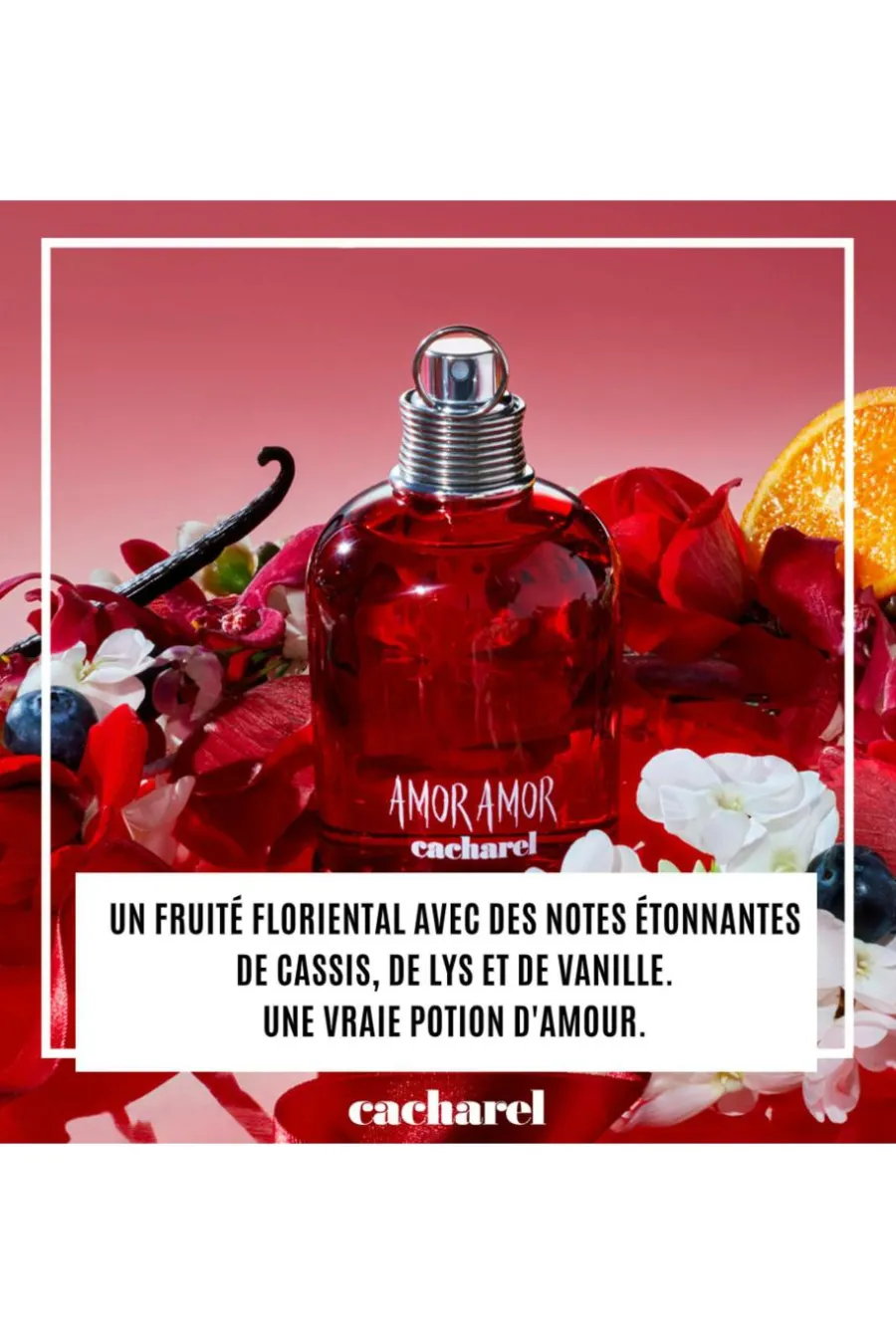 Online Amor Amor Eau de Toilette Femme Eau De Toilette
