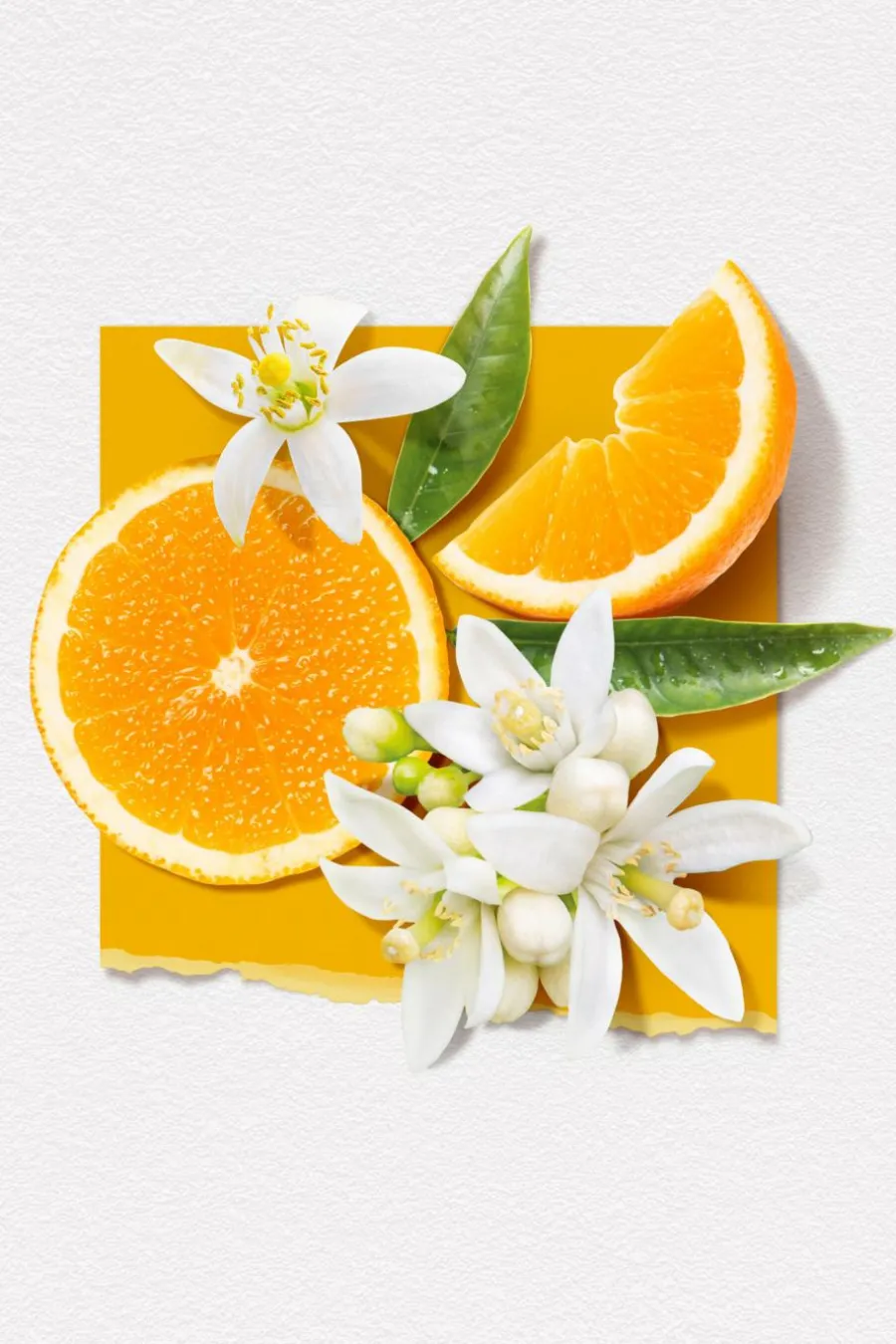 Brume parfumée corps & cheveux Fleur d’Oranger Femme Eau Fraîche & Brume