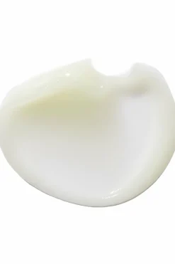 Clearance Gelée fraîcheur Crème Frappée Bamboo Soin De Jour