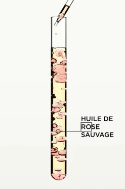 Sale Huile Gloss Absolu Masque & Soin