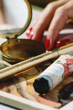 Best Le pinceau à lèvres Lèvres