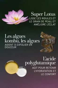 Masque anti-âge exfoliant au Lotus Soin De Nuit|Masque Crème