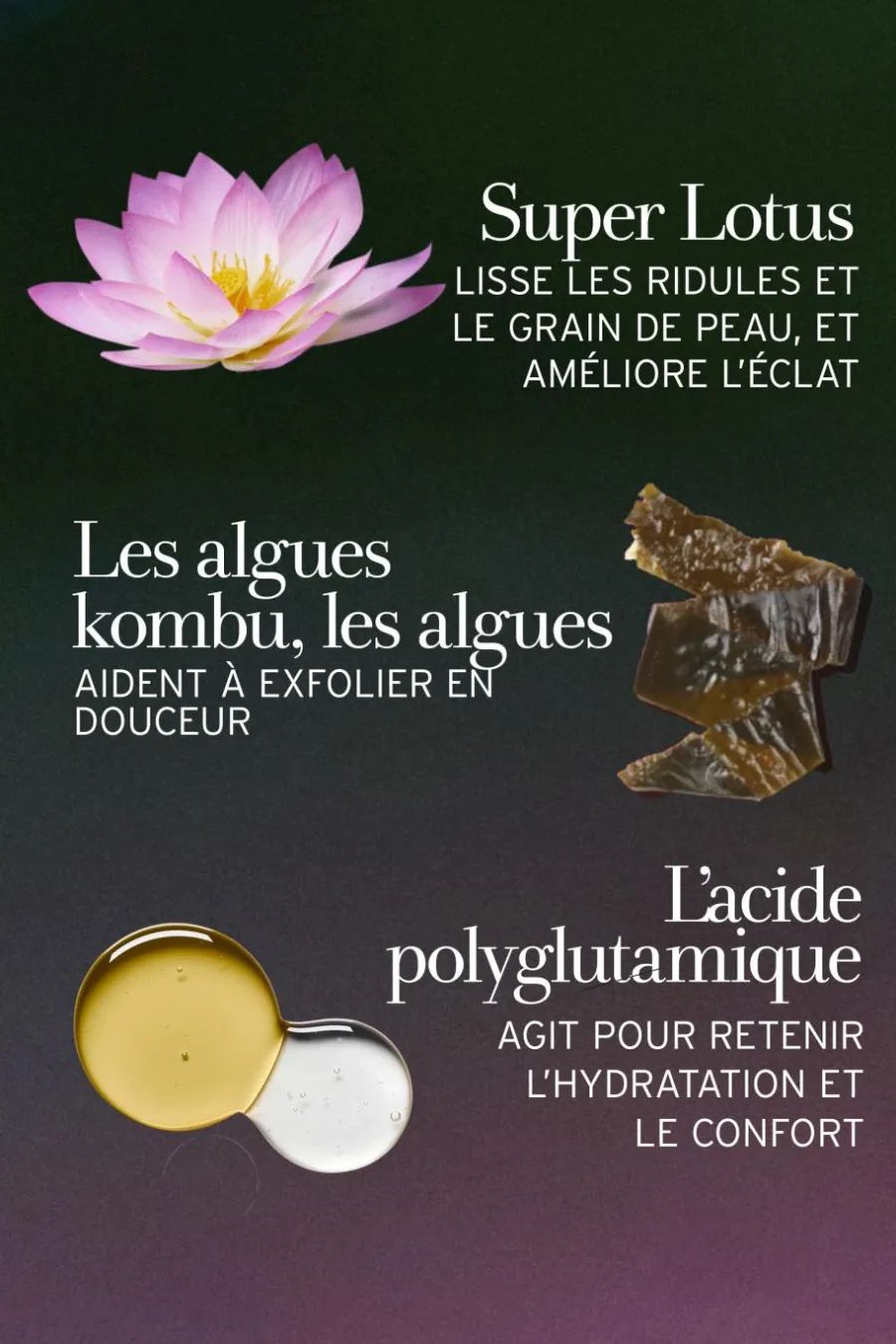 Masque anti-âge exfoliant au Lotus Soin De Nuit|Masque Crème
