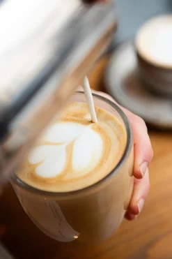 Outlet Morning Latte Original Chaï Nutrition|Boissons Chaudes