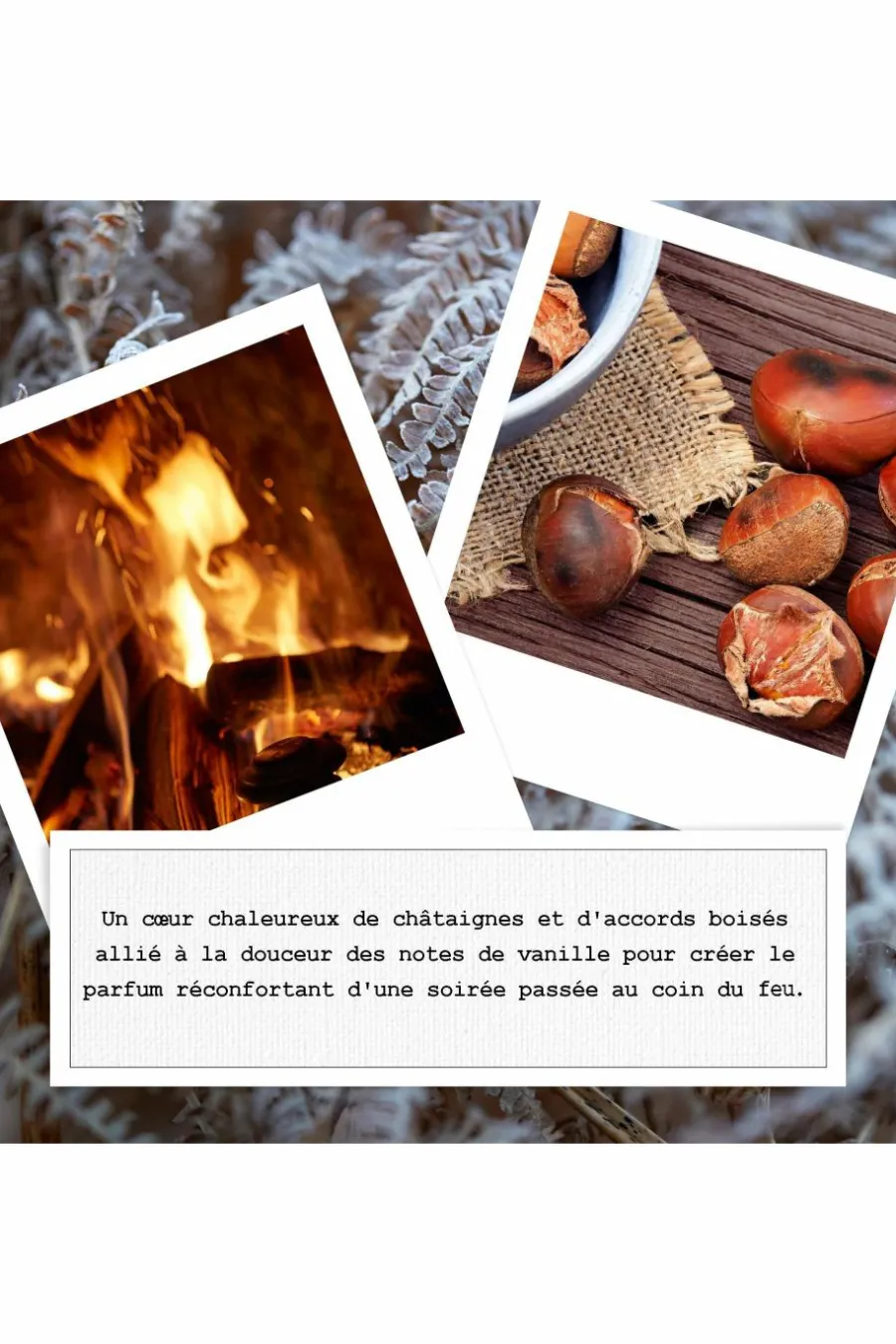 Online REPLICA By the Fireplace Eau De Toilette Boisé Femme Parfum Mixte|Eau De Toilette