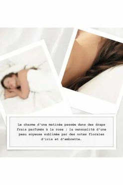 Discount REPLICA Lazy Sunday Morning Eau De Toilette Floral musqué Femme Eau De Toilette