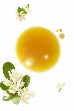 New Shampoing douche après-soleil au Monoï Shampoing