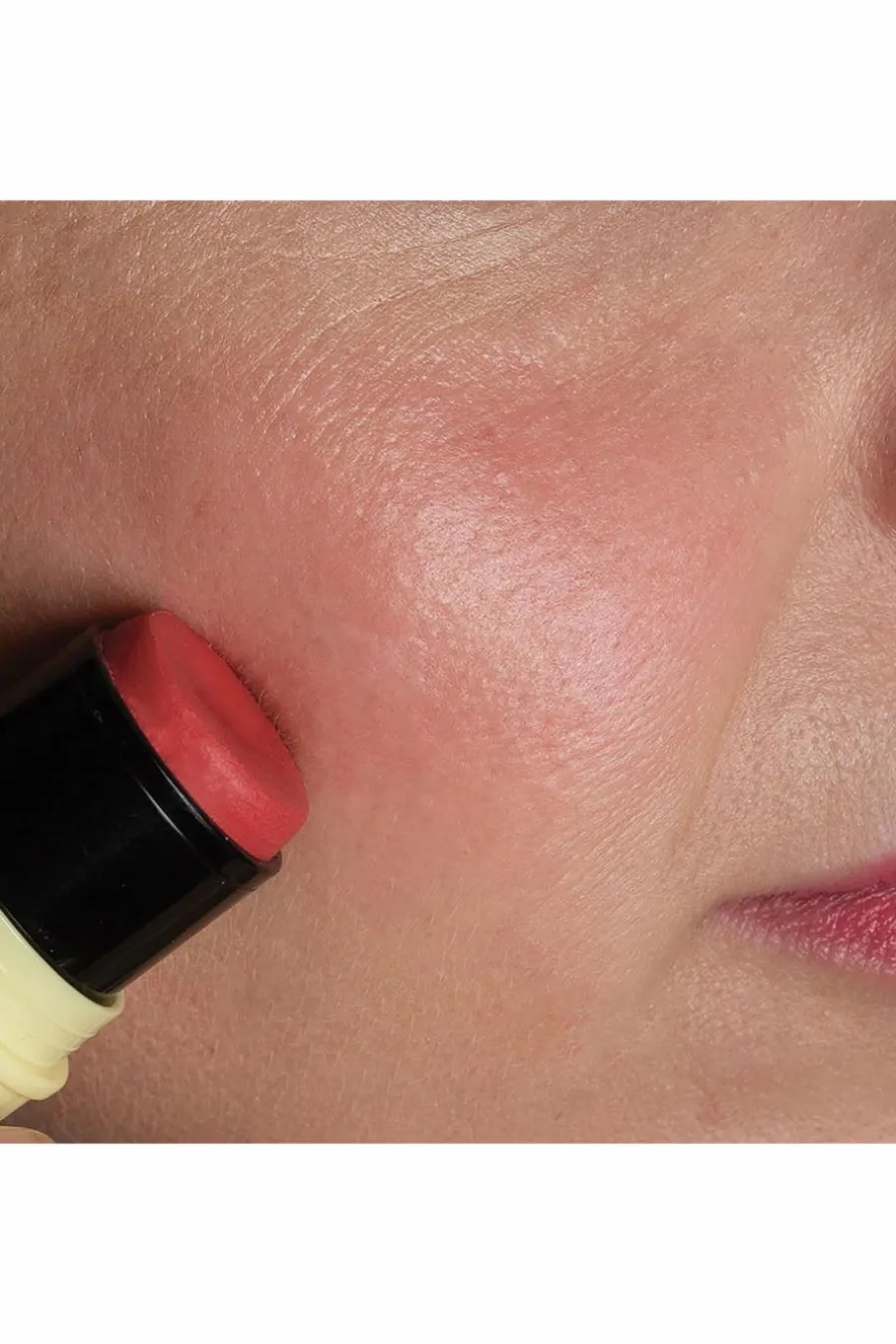 Stick baume lèvres & blush Fantastick Baume & Multifonctions|Gloss