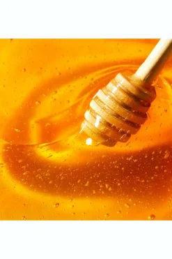 Discount Stick lèvres hydratant Rêve de Miel® Soin Lèvres
